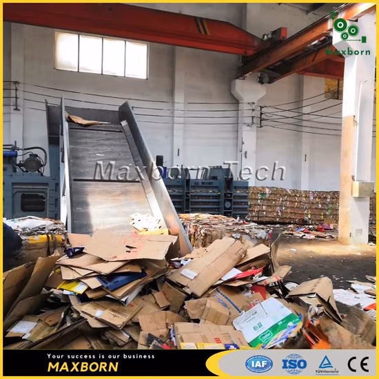 Factory Direct Price Dual RAM Hydraulic Horizontal Cardboard Baling Press Machine / Hydraulic Baler for Carton, Straw and Plastic